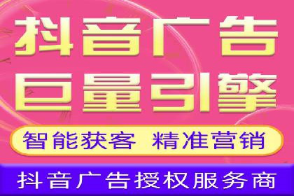 竞价托管与SEO结合的案例分析